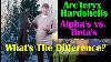 Arc Teryx Hardshells Alpha S Vs Beta S